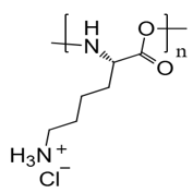 Poly‑L‑Lysine (PLL)